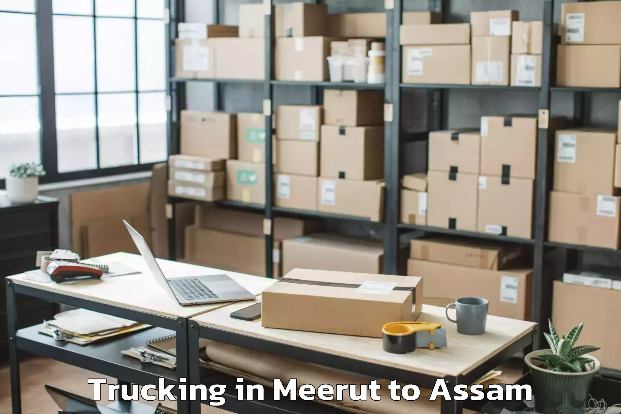 Get Meerut to Bengtol Trucking